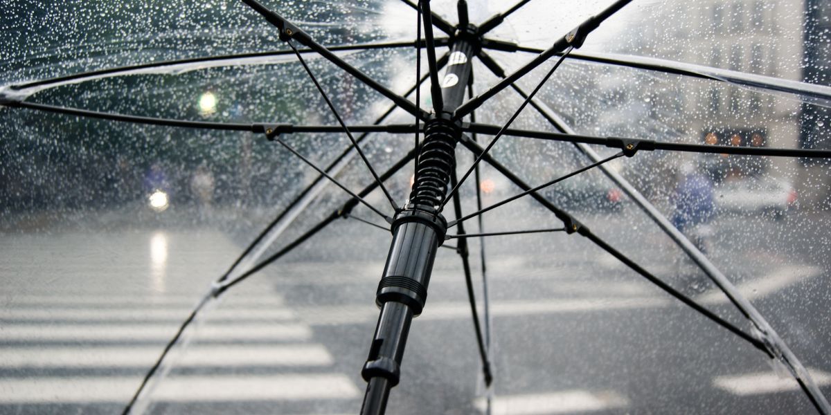 banners-for-website-75-1-1200×600