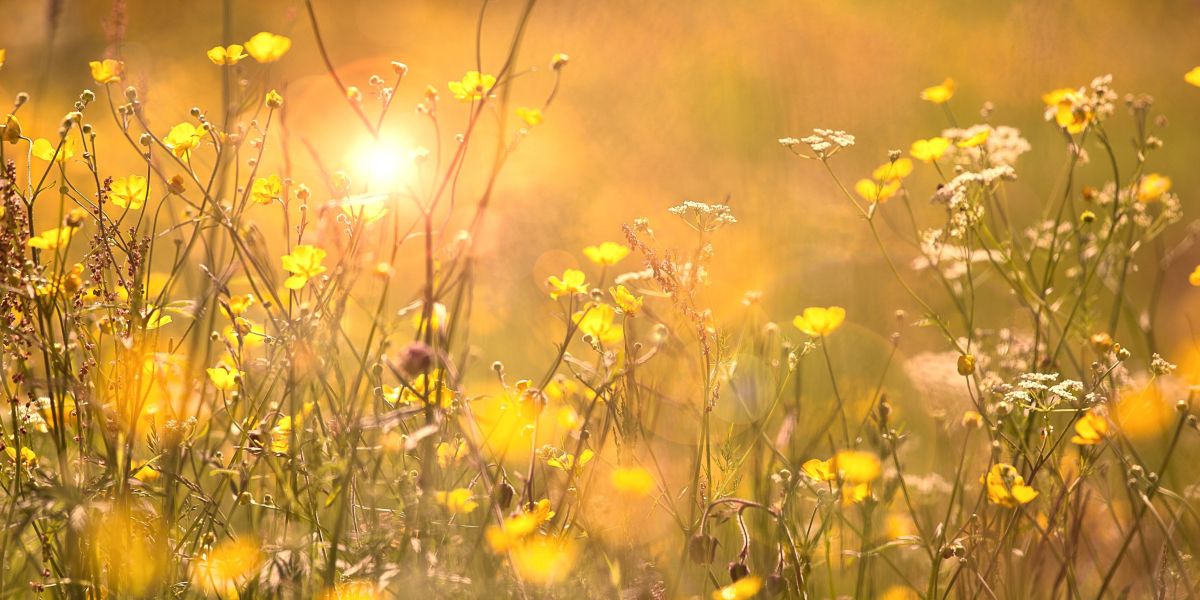 banners-for-website-92-1200×600